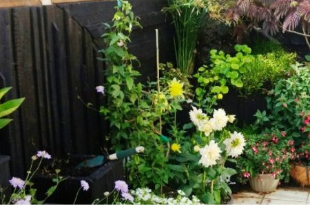 Attracting Wildlife to Your Container Garden 