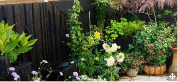 Attracting Wildlife to Your Container Garden 