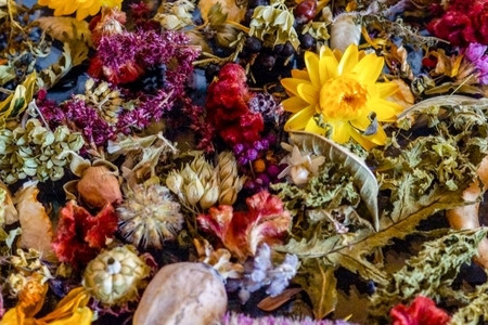 3 Fragrant Plant Materials for Making Potpourri 