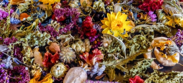 3 Fragrant Plant Materials for Making Potpourri 