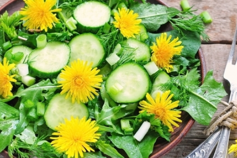 5 Surprising Uses for Dandelions 