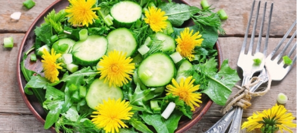 5 Surprising Uses for Dandelions 