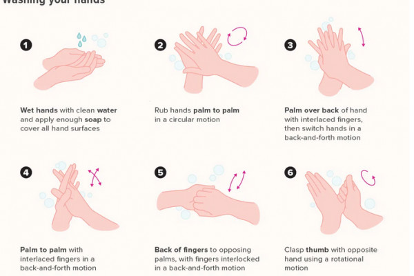 How Washing Your Hands Keeps You Healthy