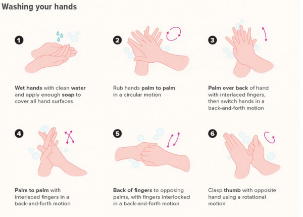 How Washing Your Hands Keeps You Healthy