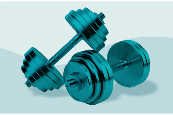 These Are the 12 Best Dumbbells to Use at Home, According to a Trainer