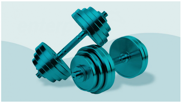 These Are the 12 Best Dumbbells to Use at Home, According to a Trainer