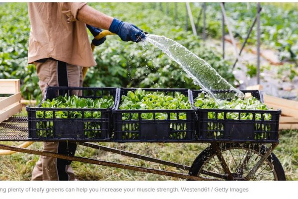 Eating Your Greens May Help You Build Muscle Strength