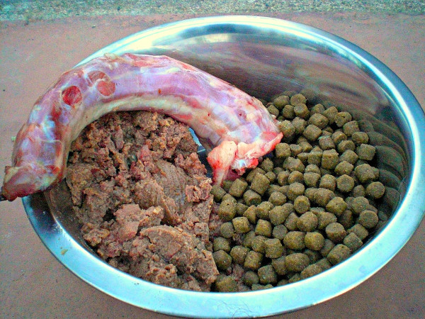 Healthy Homemade Dog Food Recipes