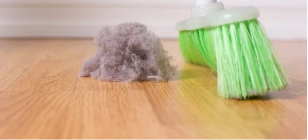 Combating Unwanted Holiday Guests: Dust Bunnies 