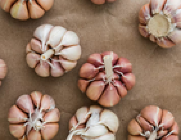 How Garlic Fights Colds and the Flu