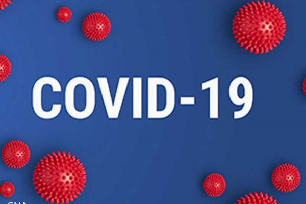  Well-developed Plant Medicine alternative cure for COVID-19 - KNII