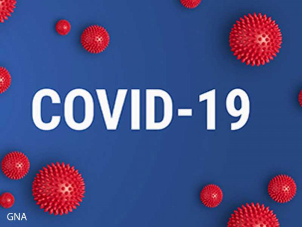  Well-developed Plant Medicine alternative cure for COVID-19 - KNII