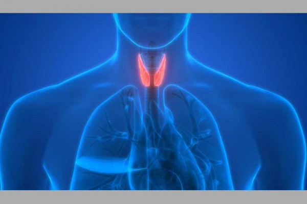   Thyroid disease doesn't increase risk of contracting COVID-19