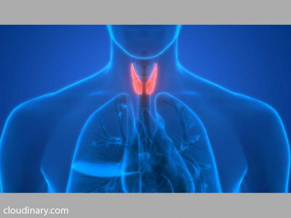   Thyroid disease doesn't increase risk of contracting COVID-19