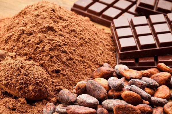  11 Health and Nutrition Benefits of Cocoa Powder