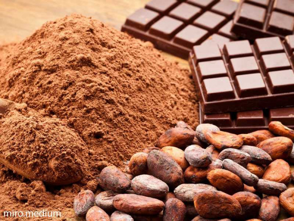  11 Health and Nutrition Benefits of Cocoa Powder