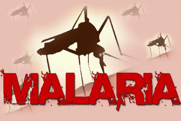 Malaria among top 10 OPD cases in Western and Western North Regions