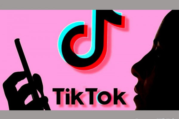 TikTok: US judge halts app store ban