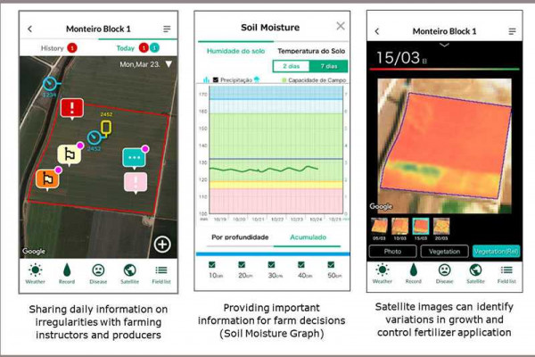 NEC and Kagome to Provide AI-enabled Services That Improve Tomato Yields