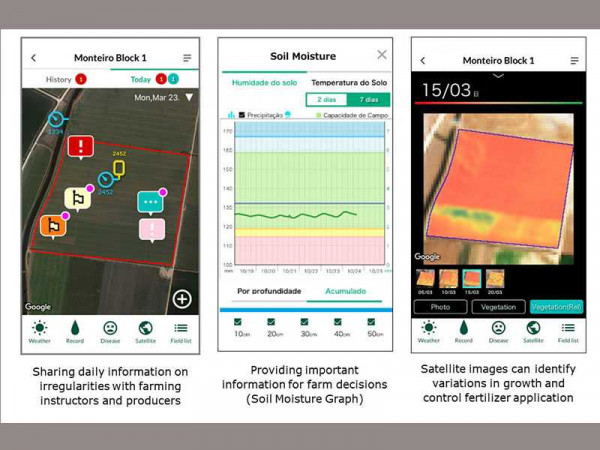 NEC and Kagome to Provide AI-enabled Services That Improve Tomato Yields