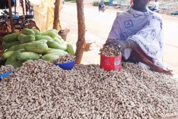 Avoid foods that contain aflatoxins - NGO warns