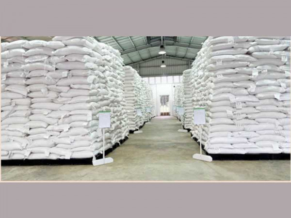 Comprehensive storage strategy needed to address post-harvest losses, inflation – CSIR