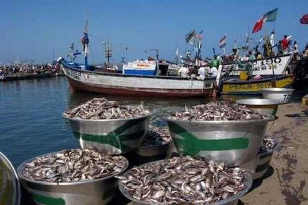 Fishers in Aboadze-Abusei call for ban on light fishing