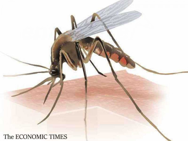 Government urged to improve funding for malaria control