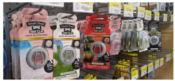 6 Popular Car Odor Eliminator Options