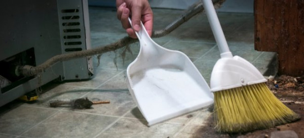 16 Commonly Overlooked Things You Should Clean
