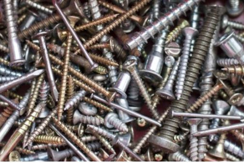 4 Popular Types of Screws