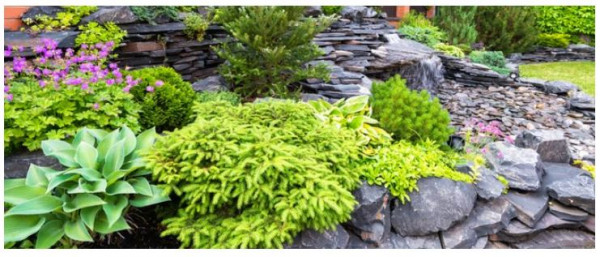 10 Landscaping Mistakes To Avoid