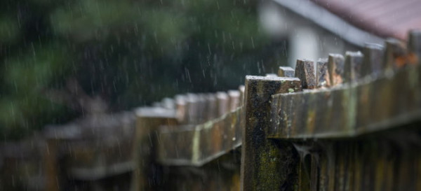 Just Put in Fence Posts, and It's Fixing to Rain—What Should You Do?