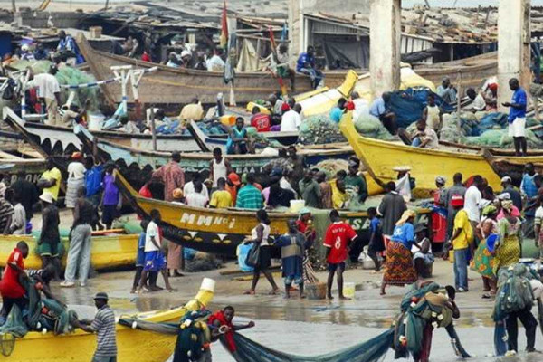 Replacing Ghana’s dwindling fish stock will take time – Deputy Fisheries Minister