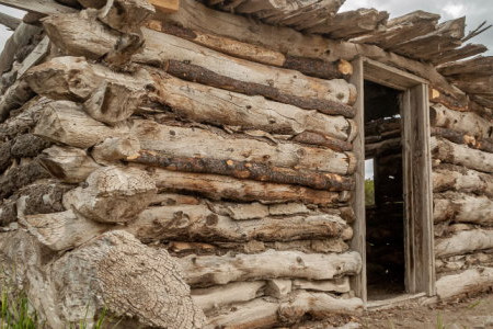 Building a Shed with Natural Cut Tree Poles