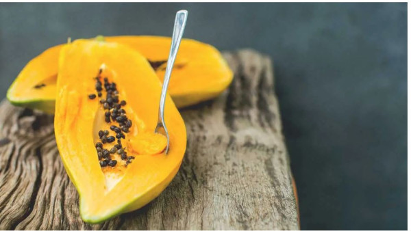 Proteolytic Enzymes: How They Work, Benefits and Sources