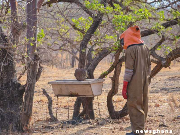 World Vision’s Re-greening Africa Project benefits farmers in Bawku West and Garu-Tempane Districts