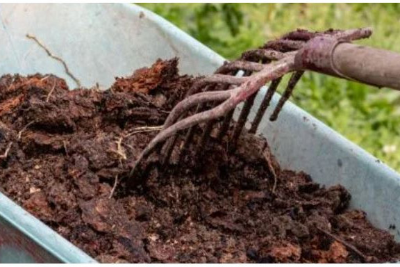 Does Lowe's or Home Depot Sell Plain Fill Dirt?