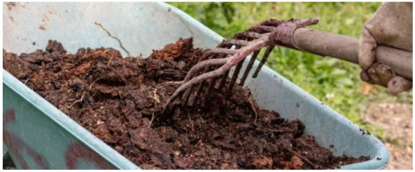 Does Lowe's or Home Depot Sell Plain Fill Dirt?