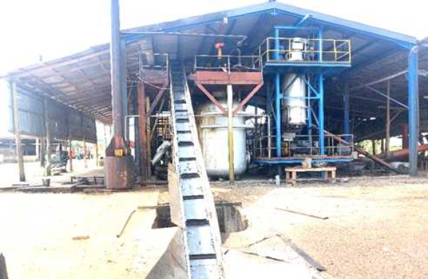 Youth In Oil Palm Programme yields results