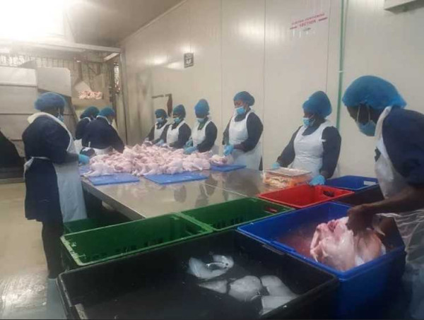 Nkoko Nkitinkiti Initiative: Broiler Processing Project takes off …targets 18m birds this year