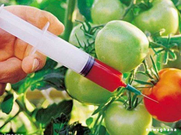 African Plant Breeders must leverage technology to address food insecurity