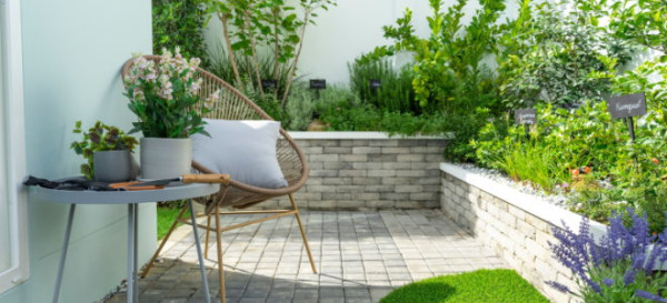 Beautify Your Backyard Landscape on a Budget