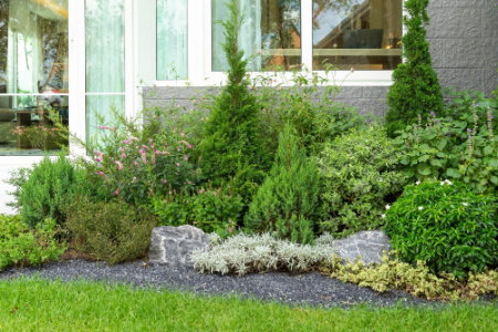 Inexpensive but Stunning Landscaping Ideas