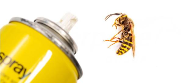 How to Kill Yellow Jackets and Prevent Infestation