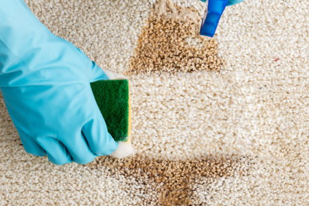 How to Clean Carpet Using Bleach