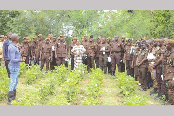 Ghana Prisons Service trains officers in agriculture