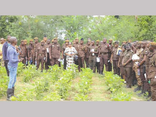 Ghana Prisons Service trains officers in agriculture