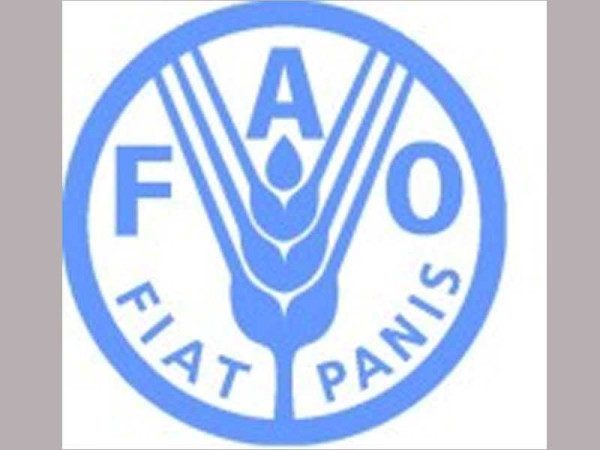 Food and Agriculture Organization-International Agri-Food Network (FAO-IAFN) Women’s Accelerator ...