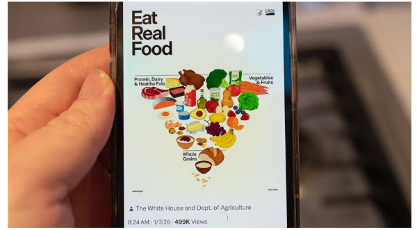 Why Experts Are Divided Over RFK Jr.'s Inverted Food Pyramid